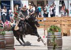 Pferd International 184